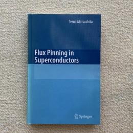 Flux pinning in superconductors