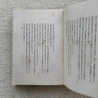 猫の微笑