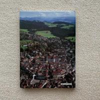 The Culture of the Abbey of St. Gall.