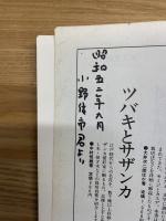 図解小品雑木盆栽の仕立て方