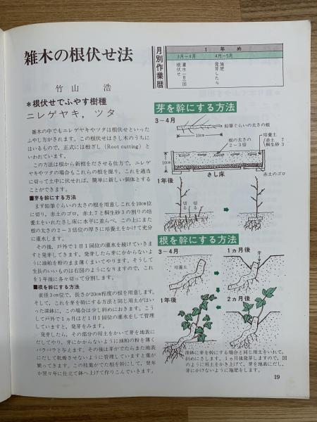 図解小品雑木盆栽の仕立て方(ガーデンライフ編集部 編) / ブック