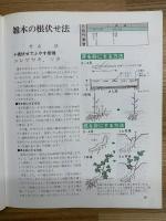 図解小品雑木盆栽の仕立て方