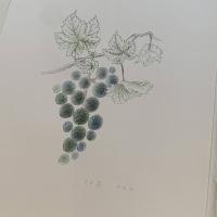 岡鹿之助オリジナル石版画集 ＜7枚のリトグラフ ＞第E.A20番 限定80部