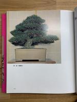 現代盆栽写真集 : 観賞と知識