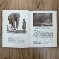 My Picture Book of The Circus
