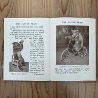 My Picture Book of The Circus