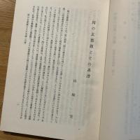中國の宗教と社會