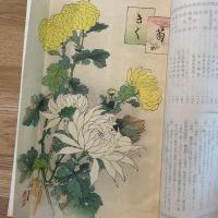 少年 博物誌　1〜3編　3冊