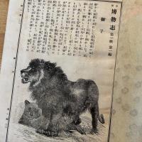 少年 博物誌　1〜3編　3冊