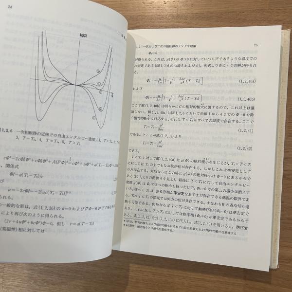 相転移・臨界現象の統計物理学 新物理学シリーズ (新物理学