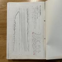 刀剣鑑定問題種