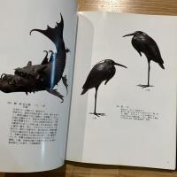 刀装具・自在金具 : ルンドグレン・コレクション