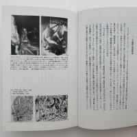 裸体の森へ : 感情のイコノグラフィー