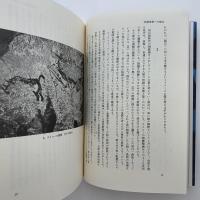 イメージの鎖 : 絵画のかたちと意味