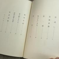 夫稲垣足穂