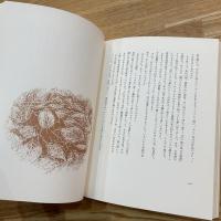 六本の色鉛筆
