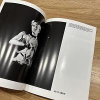 Jan Fabre De Macht der Theaterlijke Dwaasheden The Power of Theatrical Madness