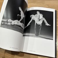 THE POWER OF THEATRICAL MADNESS JAN FABRE