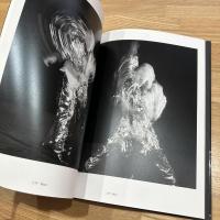 THE POWER OF THEATRICAL MADNESS JAN FABRE