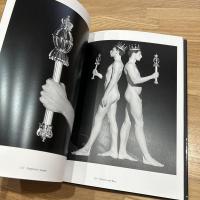 THE POWER OF THEATRICAL MADNESS JAN FABRE