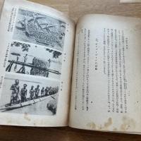 南方民族誌