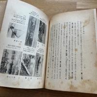 南方民族誌