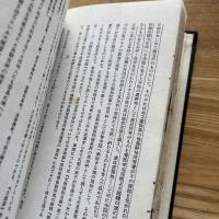 中晩唐時代に於ける燉煌地方 : 佛教寺院の碾磑經營に就きて