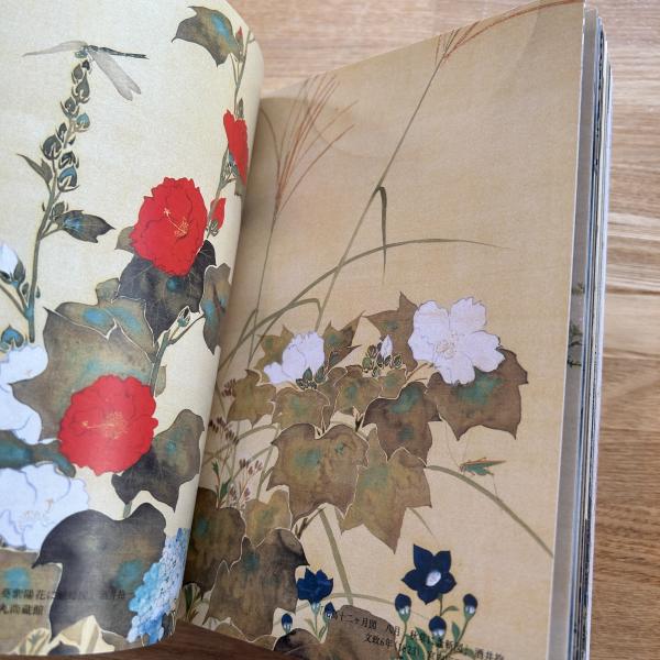 日本の図像 : 花鳥の意匠(濱田信義企画・編集) / 古本、中古本、古書籍