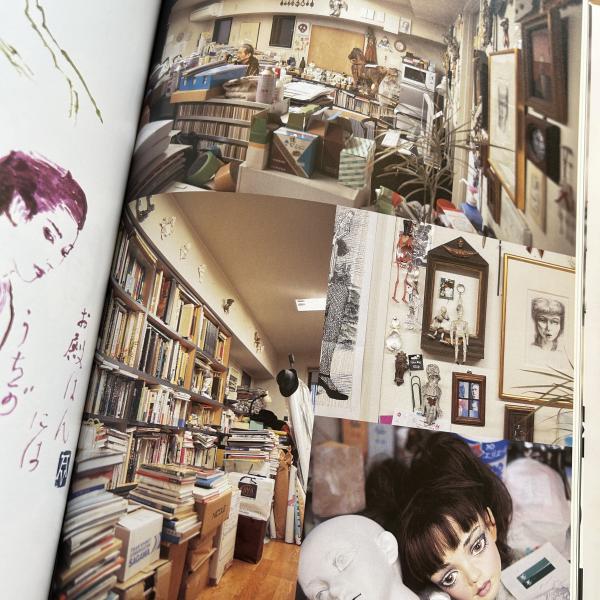 宇野亜喜良創作の現場 : Illustrator's workshop(宇野亜喜良 画