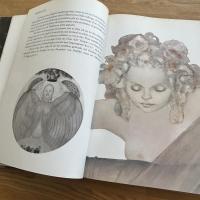 Leonor Fini: Das grosse Bilderbuch by Leonor Fini