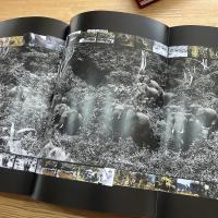 PETER BEARD Special edition 2 volumes box set