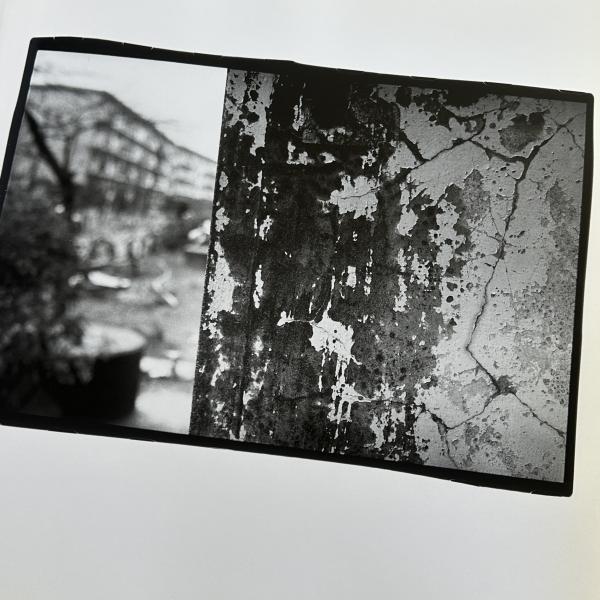 手数料安い Hysteric twelve : 深瀬昌久/Fukase Masahisa(深瀬昌久著 アート・デザイン・音楽