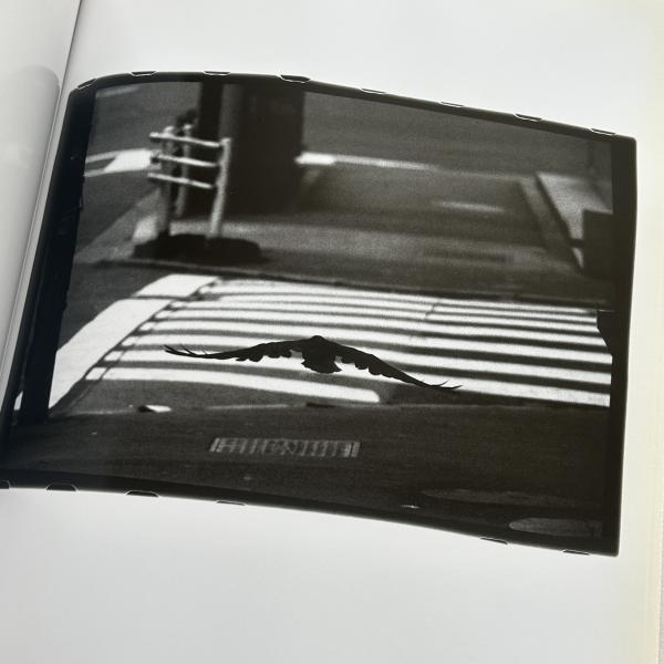 Hysteric twelve : 深瀬昌久/Fukase Masahisa(深瀬昌久著