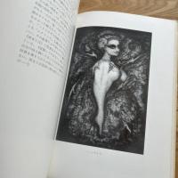 ピエール・モリニエの画室　限定970部