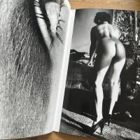 Helmut Newton's Illustrated No.2