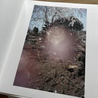 すべては初めて起こる : 大森克己　サイン入り