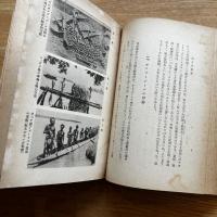南方民族誌