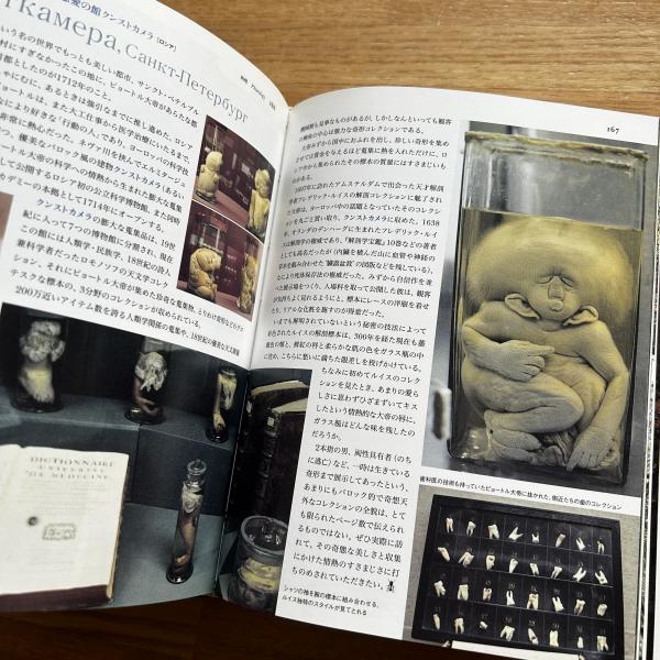 珍世界紀行 : ヨーロッパ編(都築響一 写真・文 ; アルフレッド