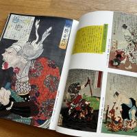 月岡芳年の全貌展 : 最後の浮世絵師 最初の劇画家