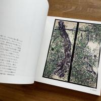 棟方志功展