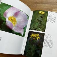 日本アルプスの花＜献呈署名入＞