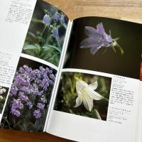 日本アルプスの花＜献呈署名入＞