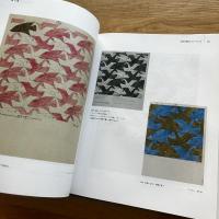 エッシャー・変容の芸術 : シンメトリーの発見
