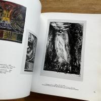 JASPER JOHNS A PRINT RETROSPECTIVE(英語)