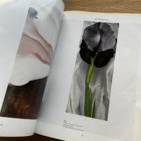 Georgia O'Keeffe: American Art Series 英語　