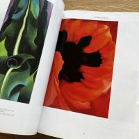 Georgia O'Keeffe: American Art Series 英語　