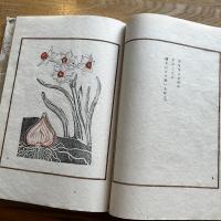 日本の花 : 詞花集