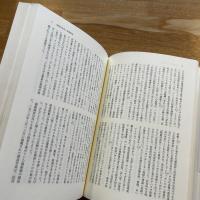 ヒトラーを支持したドイツ国民