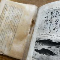 毛武と渡辺崋山に関する新研究
