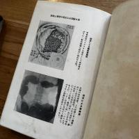 頭脳明快法
